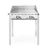 Green Fire grillsütő, 2 égővel, HENDI, Profi Termékcsalád, 2 Rozsdamentes acél GN 1/1 grillsütő rács, 11,6kW, 740x612x(H)825mm