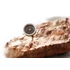Steak hőmérő – 4 db-os készlet, HENDI, 4 db., ⌀25x(H)70mm